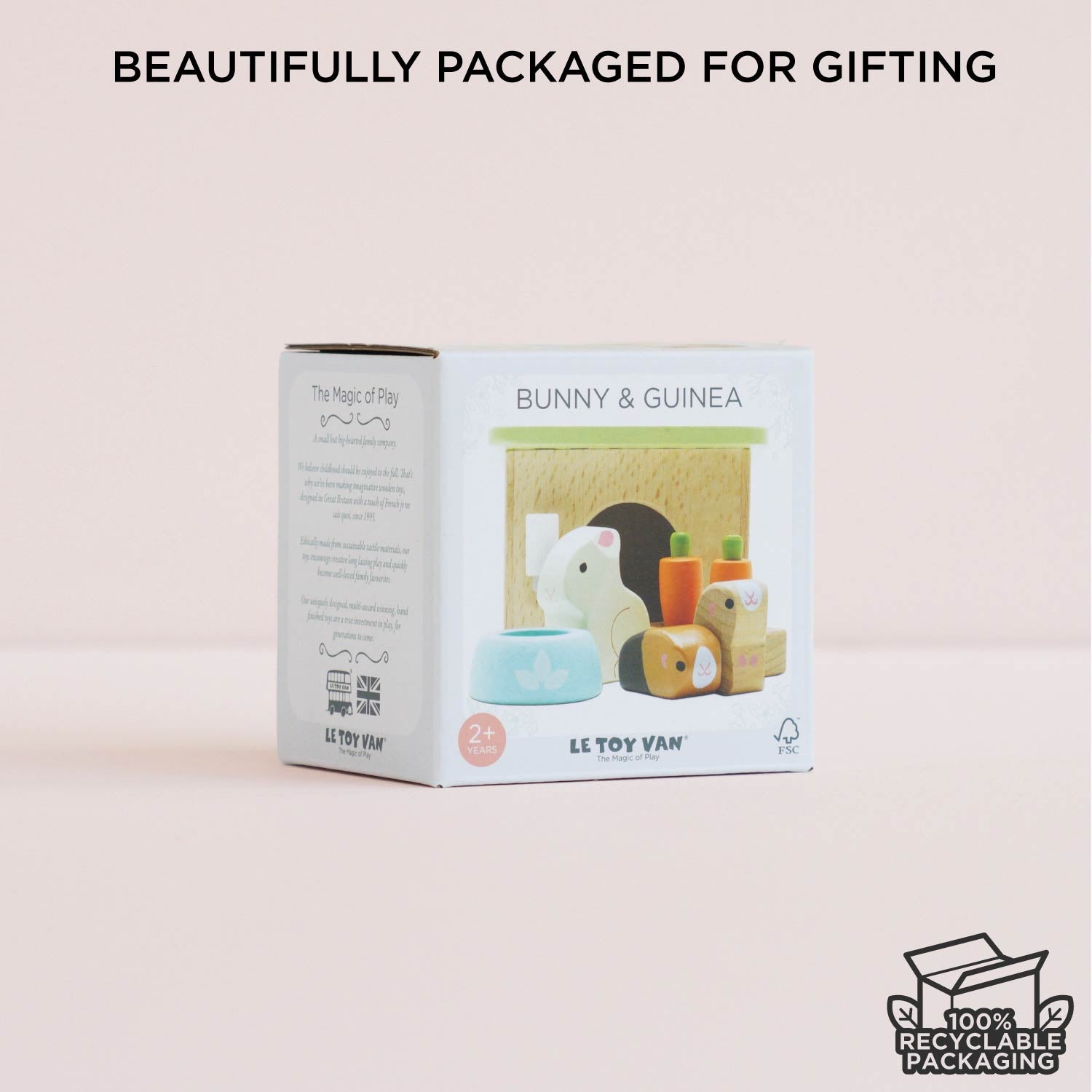 Bunny & Guinea Pet Animal Set
