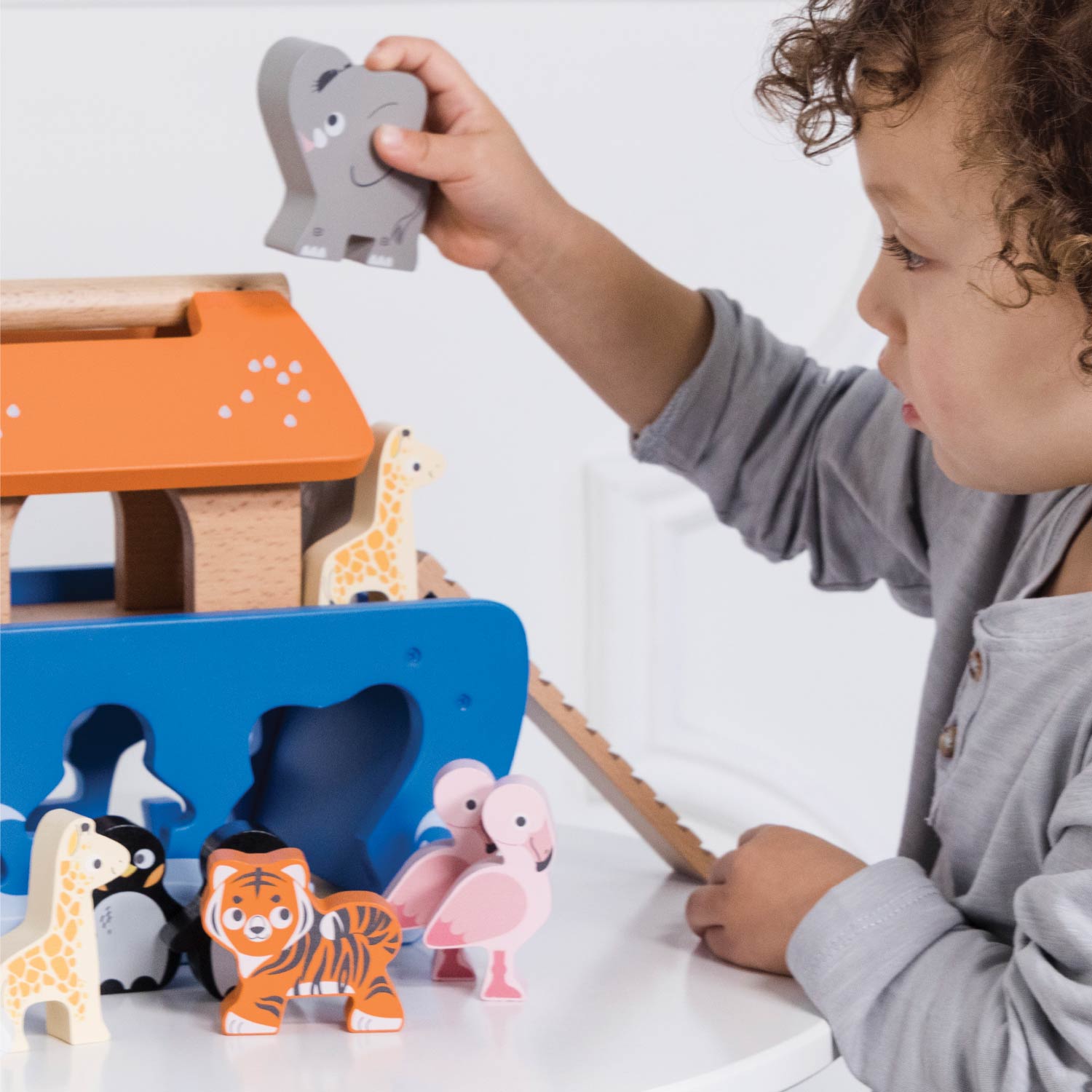 Noah's Ark & Animals Shape Sorter