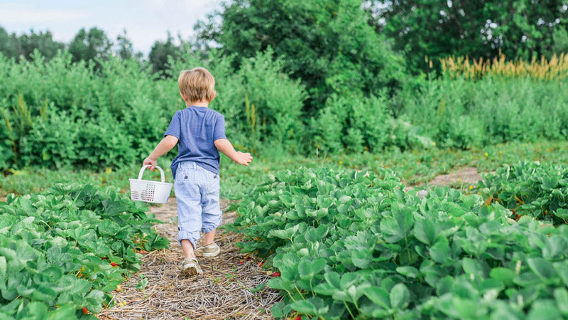 National Children's Gardening Week