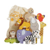 Africa Stacking Animals & Bag