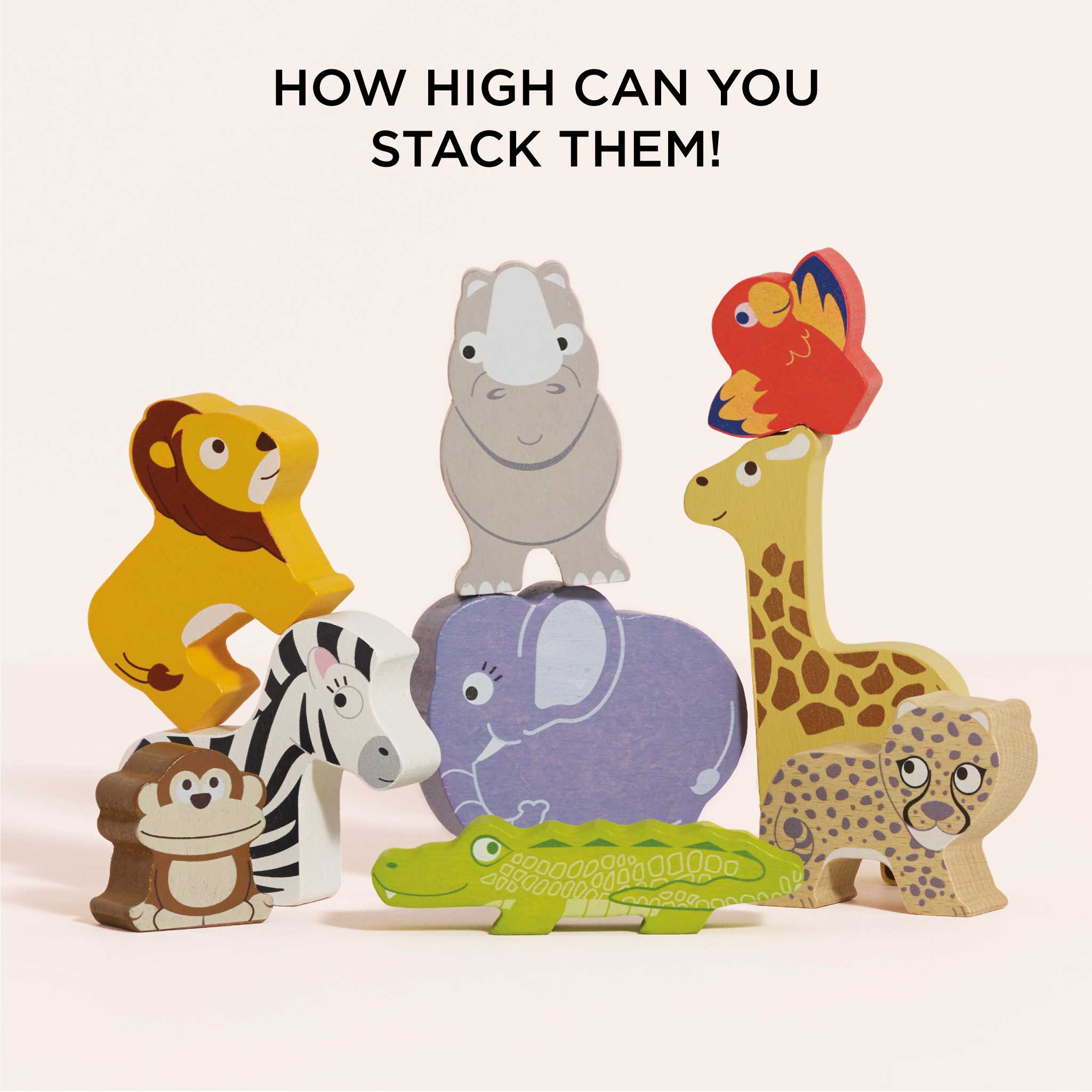 Africa Stacking Animals & Bag