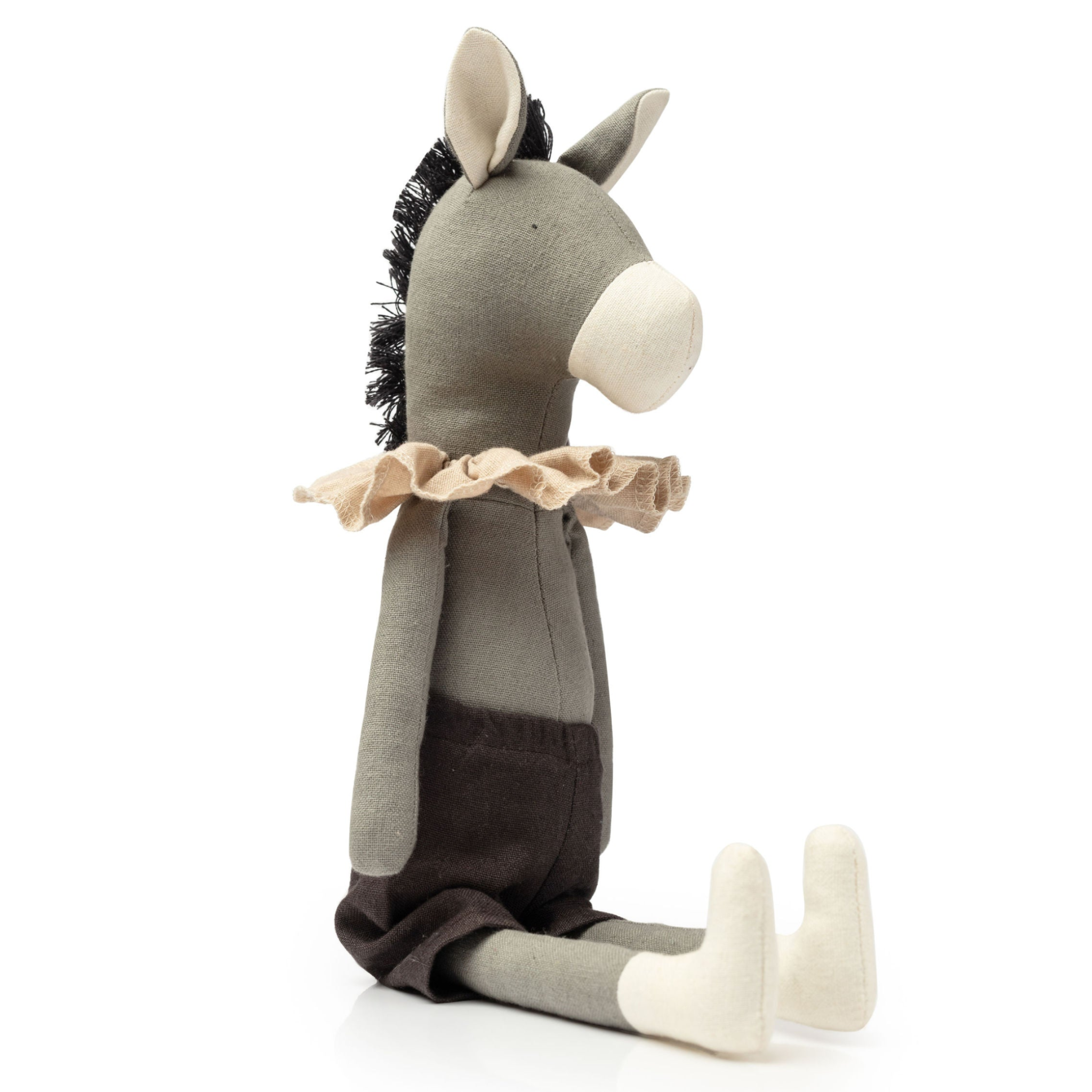 Darwin the Donkey