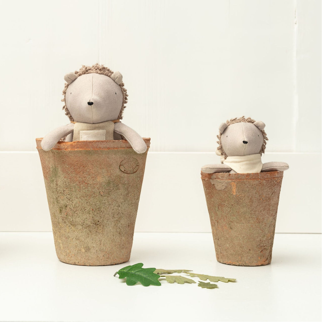 Poppet The Baby Hedgehog (Pre-order)
