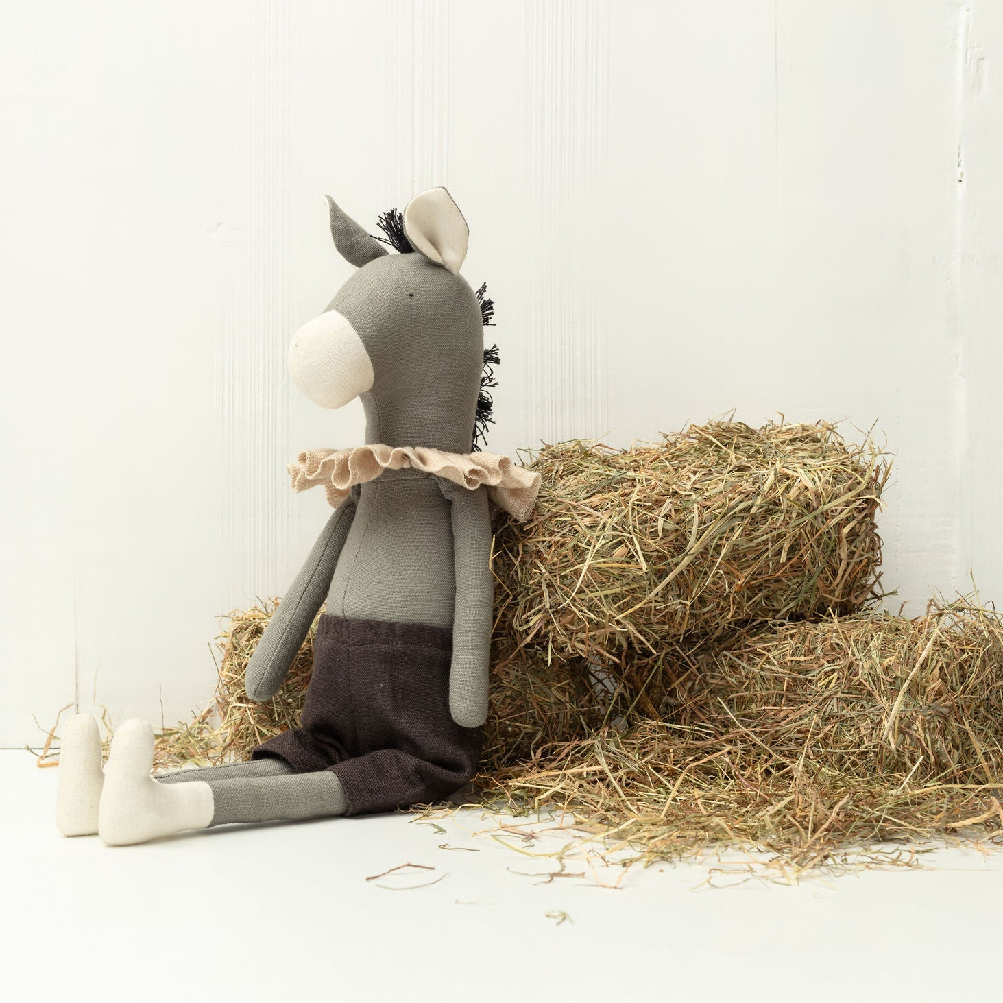 Darwin the Donkey
