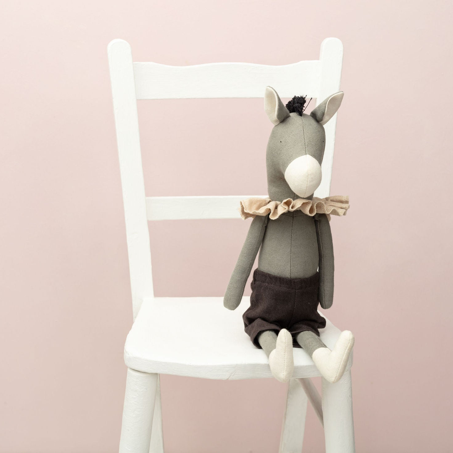 Darwin the Donkey